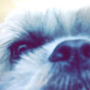 Meet your Posher, Kaitlyn